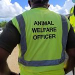 Animal welfare officers threatened with violence