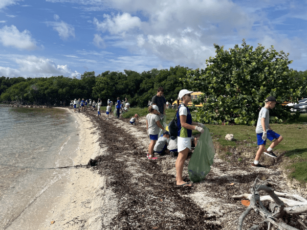 World Oceans Day beach cleanup POF