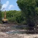 Mangroves bulldozed by the NRA in West Bay, Cayman News Service