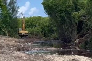 Mangroves bulldozed by the NRA in West Bay, Cayman News Service