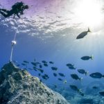 UK offers support to protect Cayman’s deep ocean