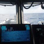 Two missing Cubans now feared lost at sea