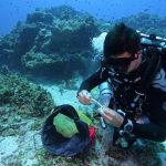 CCMI reveals biodiversity of 12-Mile Bank reefs