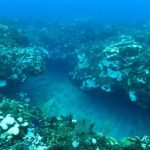 Global coral bleaching will degrade local reefs
