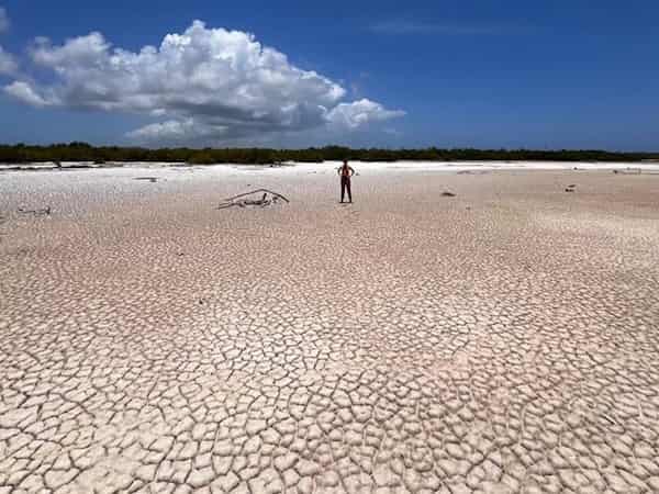 🌡️ April 2024 marks eleventh consecutive month of record-breaking global temperatures