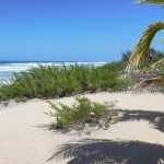 Victim stabbed on Cayman Brac Public Beach
